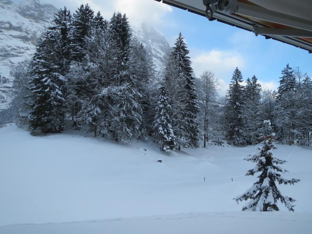 Mom - Alpine Boutique Apartments, Grindelwald Gletscher, Eiger View Terrace Studio الغرفة الصورة