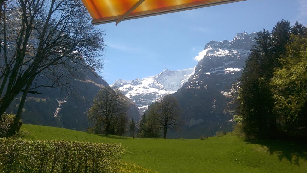 Mom - Alpine Boutique Apartments, Grindelwald Gletscher, Eiger View Terrace Studio الغرفة الصورة