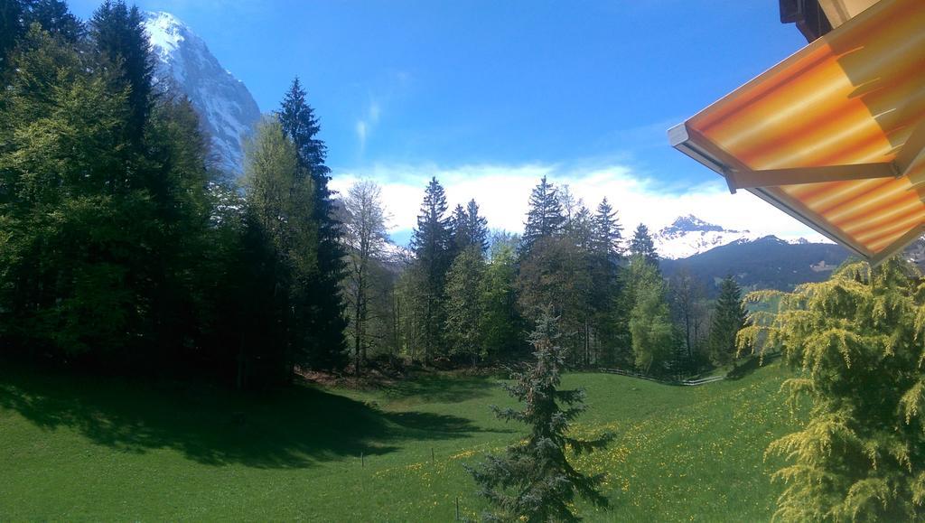 Mom - Alpine Boutique Apartments, Grindelwald Gletscher, Eiger View Terrace Studio الغرفة الصورة