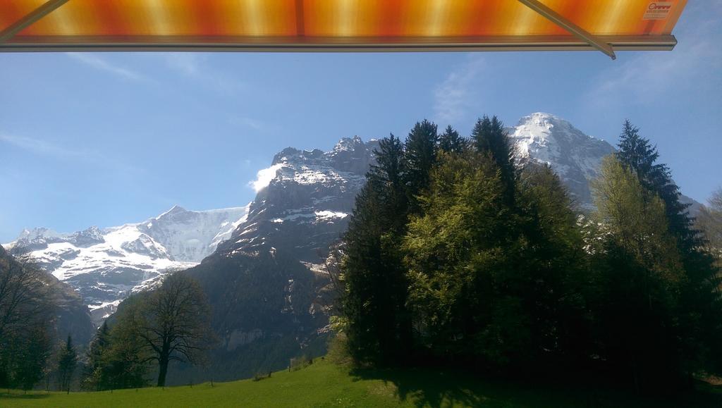 Mom - Alpine Boutique Apartments, Grindelwald Gletscher, Eiger View Terrace Studio الغرفة الصورة