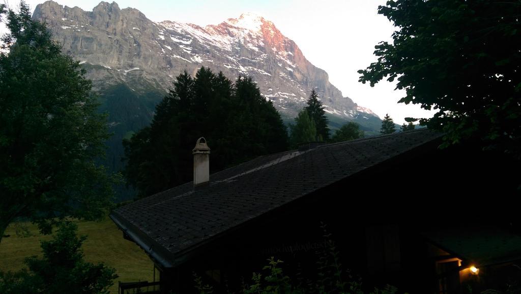 Mom - Alpine Boutique Apartments, Grindelwald Gletscher, Eiger View Terrace Studio الغرفة الصورة