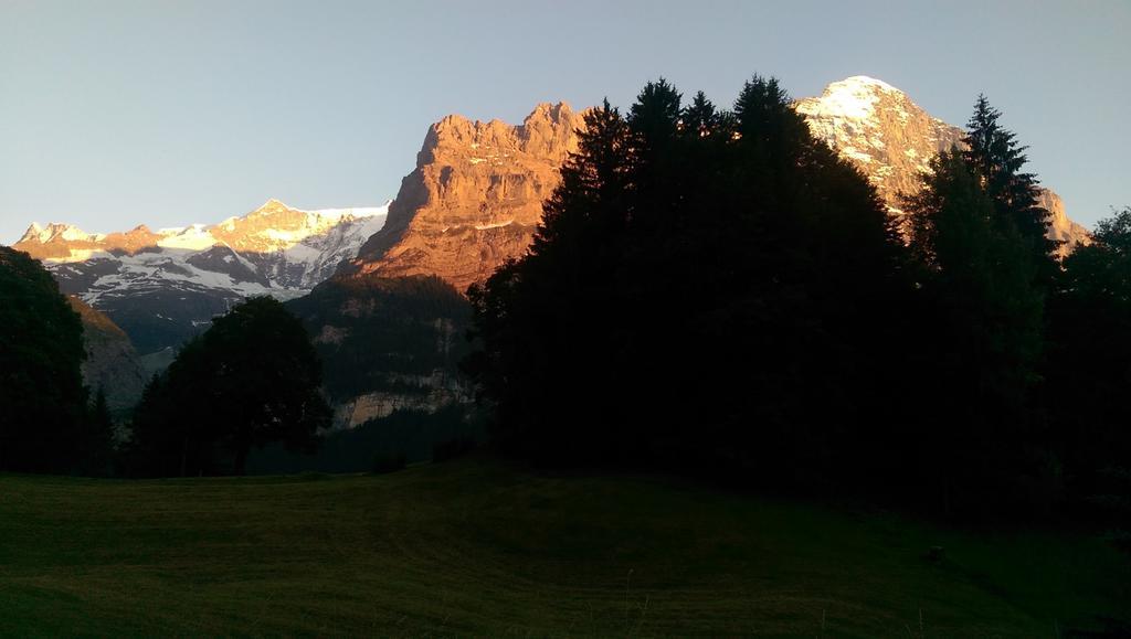 Mom - Alpine Boutique Apartments, Grindelwald Gletscher, Eiger View Terrace Studio الغرفة الصورة