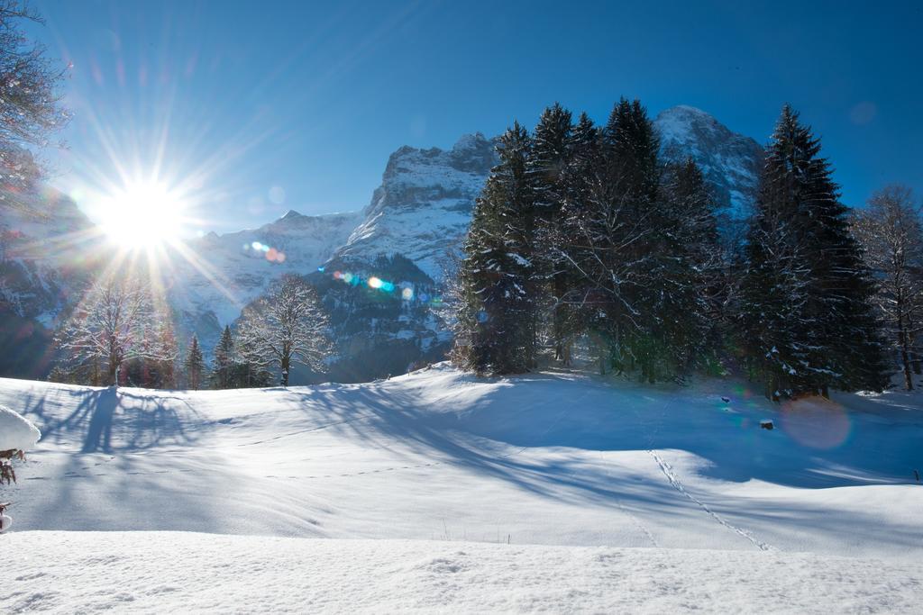 Mom - Alpine Boutique Apartments, Grindelwald Gletscher, Eiger View Terrace Studio الغرفة الصورة